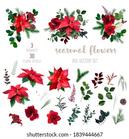 Merry Christmas floral vector big design set. Red and white amaryllis, poinsettia, green, burgundy branch, holly, mistletoe, berry, astilbe, winter greenery. White snowflakes. Isolated and editable