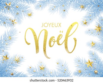 Merry Christmas in French Joyeux Noel greeting card. Joyeux Noel poster template of pine and fir christmas tree branches, golden stars, ornament decorations. Joyeux Noel calligraphy lettering text