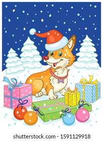 Merry Christmas! A funny Corgi dog in a red cap with gift boxes and glass balls sits in a winter night glade. In cartoon style. Vector illustration.