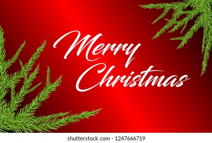 Merry Christmas Greeting background, pine tree branches, greeting card