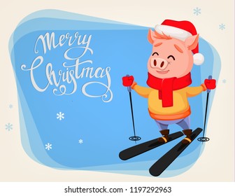 Merry Christmas greeting card with cute pig wearing Santa Claus hat and scarf. Cheerful funny cartoon character skiing. Vector illustration on winter background