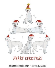 Merry Christmas greeting card with cute funny white Boxer dogs wearing winter hats. Cute funny dogs. Character design. Abstract Christmas tree. Vector illustration.