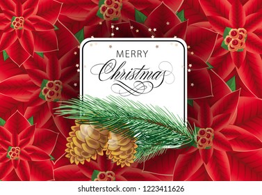 Merry Christmas greeting card design. Inscription in white frame with cons and fir tree branch on background with poinsettia flowers. Can be used for posters, postcards, greetings