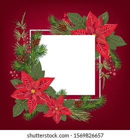 Merry Christmas greeting card design with floral poinsetia bouquet decoration and white background with place for text. Modern winter season postcard, brochure, wall art design