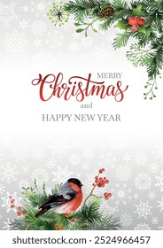 Feliz Natal design cartão de saudação com pássaro bullfinch vermelho, ramos de abeto, bagas vermelhas. Ilustração vetorial.