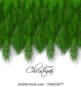 Merry Christmas greeting card with fir  tree branches background