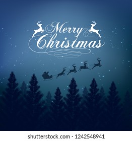 Merry christmas greeting card with forest background