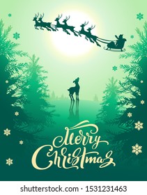 Merry Christmas greeting card template text. Deer in spruce forest looks at reindeer harness with Santa in night winter sky. Vector holiday cartoon illustration