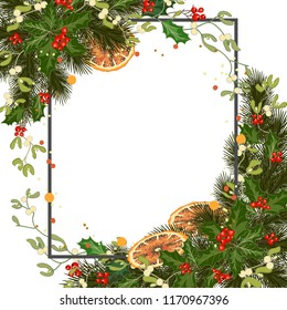 Merry christmas greeting card with traditional decorations and place for message. Christmas background with branches of spruce and holly. Vector illustration