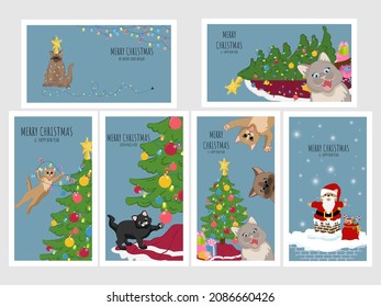 Merry Christmas greeting cards with naughty cats. Merry Christmas poster