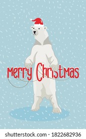 Merry Christmas greeting cards with white bear, polar bear.