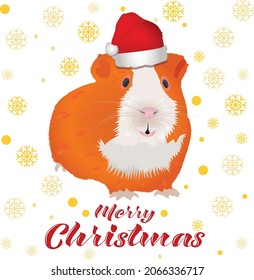 Merry Christmas guinea pig wearing Santa's hat