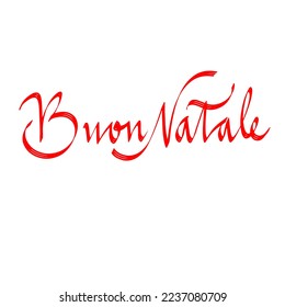 Merry Christmas. Hand-written calligraphic inscription in Italian. Vector illustration