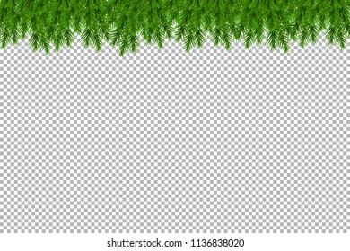 Merry Christmas and Happy New Year background with fir branches isolated on transparent background. Modern design. Universal vector background for poster, banners, flyers, card.