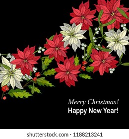 Merry Christmas and Happy New Year greeting card, banner with holly, poinsettia and mistletoe/ vector illustration