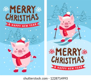 Merry Christmas and Happy New Year 2019. Vector illustration, funny card design with cartoon pig.