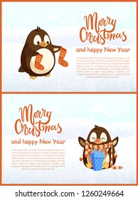 Merry Christmas and Happy New Year vector penguin holding socks and sitting bird with hands up in scarf with gift box in stripes, greeting cards template