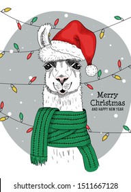 Merry christmas and happy new year from joyful llama vector illustration. Joyful alpaca wearing red x-mas santa claus hat and looking at camera congratulating everyone. Winter holidays concept