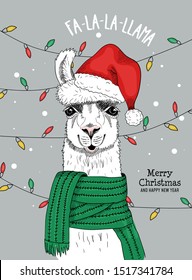 Merry christmas and happy new year festive card vector illustration. Alpaca in red santa claus cap with pompon congratulating everyone fa-la-la-llama. Xmas holidays concept