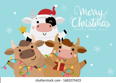 Merry Christmas and happy new year greeting card. 2021 Ox zodiac. Cute cow and gift. Animal cartoon character set. -Vector