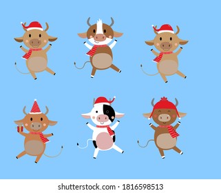 Merry Christmas and happy new year 2021. The year of the ox. The male cow and bull wear red winter costume