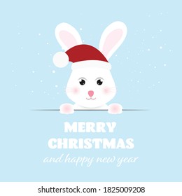 Merry Christmas and Happy New Year, Funny bunny with greeting card. vector illustration.