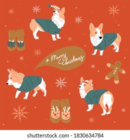 Merry Christmas and Happy New Year cute Corgi dogs and socks with Christmas elements set. Flat vector illustration in doodle style. Can be used for pattern, textile, greeting card, sticker...