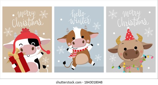 Merry Christmas and happy new year 2021. The year of the ox. The male cow and bull wear red winter costume. Animal holidays cartoon character. -Vector
