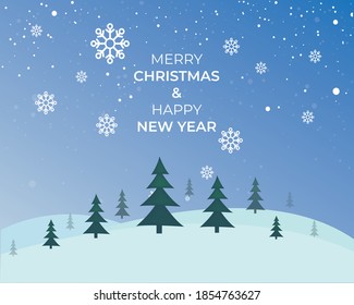Merry Christmas and Happy New Year, nature and holiday ornaments vector