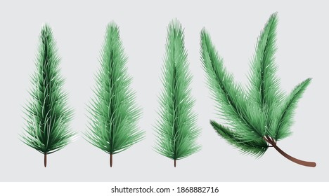 Merry Christmas and Happy New Year, Christmas tree branches background, vector illustration