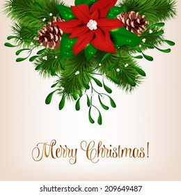 Merry Christmas and Happy New Year Invitation.Vector illustration. Poinsettia