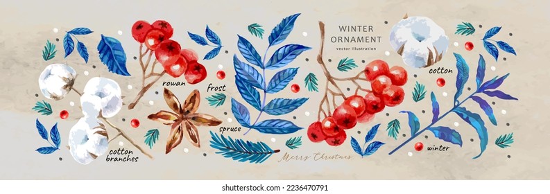 Merry Christmas and Happy New Year!  Vector illustrations of winter leaves, floral, ornament, rowan, cotton, fir branches for background, pattern,  or card