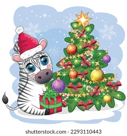 Merry Christmas and Happy New Year greeting card with cute zebra in santa hat with christmas ball, candy kane, gift. Wildlife holidays cartoon character.