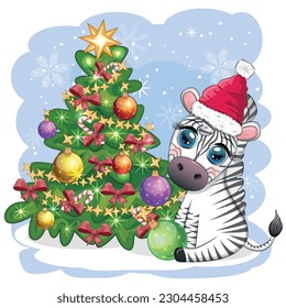 Merry Christmas and Happy New Year greeting card with cute zebra in santa hat with christmas ball, candy kane, gift. Wildlife holidays cartoon character.