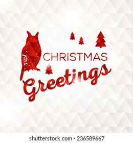 Merry Christmas and Happy New Year Card with owl