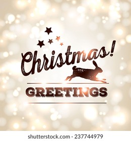 Merry Christmas and Happy New Year Card
