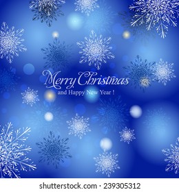 Merry Christmas and Happy New Year Card 