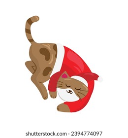 Merry christmas and happy new year cute cat cartoon. greeting card. funny xmas cartoon