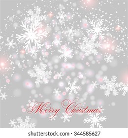 Merry Christmas and Happy New Year Card