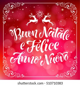 Merry Christmas and Happy New Year text in Italian: Buon Natale e Felice Anno Nuovo. Vector lettering for invitation, greeting card, prints. Hand drawn holidays design