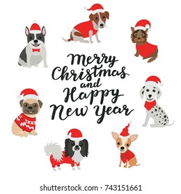 Merry Christmas and Happy new year. Happy dogs in costumes Santa Claus