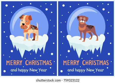 Merry Christmas and happy New Year posters with cute puppies on snowy glass balls with ice greeting cards design with text on snowflakes backdrop