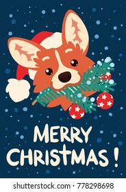 ¡Feliz Navidad y feliz Año Nuevo! Perro Corgi en Santa sombrero con rama de árbol de Navidad en la boca. Imagen vectorial de la cabeza galesa Corgi en estilo dibujo plano sobre fondo azul con nieve. Tarjeta.