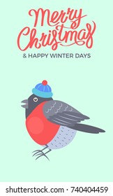 Merry Christmas and happy winter days, promotional poster with bullfinch wearing red hat vector illustration isolated on green background