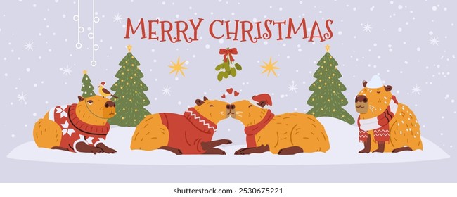 Merry Christmas horizontal vector banner with funny capybaras sitting under snowfall and kissing under mistletoe.