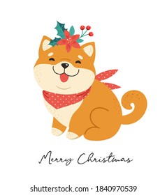 Merry Christmas illustration with Shiba Inu, Japanes, Korean dog. Funny puppy with a Christmas accessories. Vector greeting card