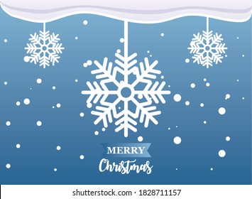 merry christmas label with snowflakes vector illustration design