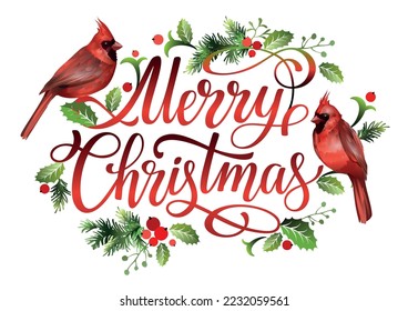 Merry Christmas lettering design with red cardinal birds, mistletoe leaves, spruce branches, red berries. Vector illustration.