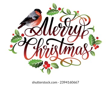 Merry Christmas lettering design with red bullfinch bird, mistletoe leaves, spruce branches, red berries. Vector illustration.