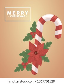 merry christmas lettering in square frame with cane and flower vector illustration design